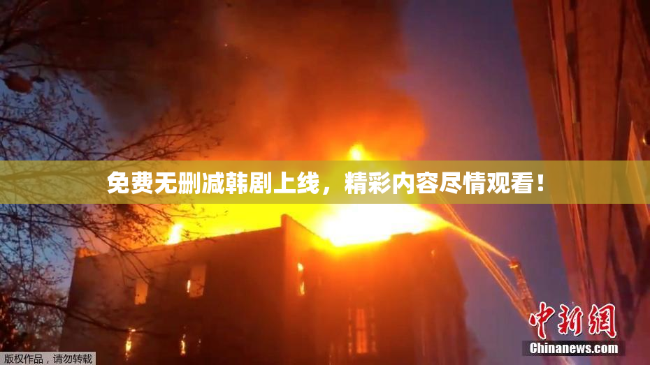 免费无删减韩剧上线，精彩内容尽情观看！
