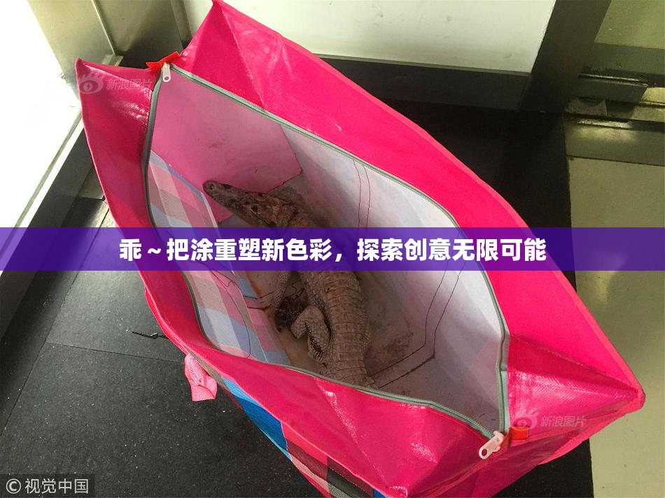 乖～把涂重塑新色彩，探索创意无限可能