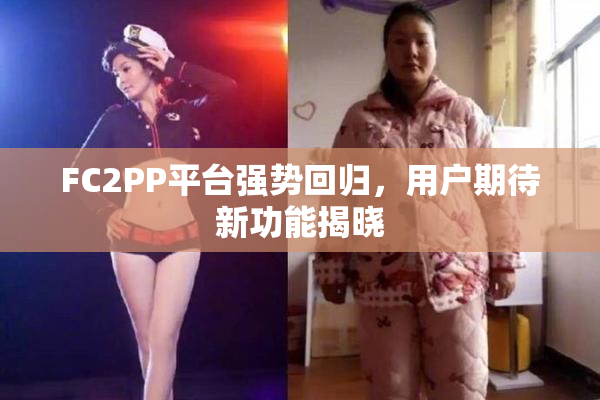 FC2PP平台强势回归，用户期待新功能揭晓