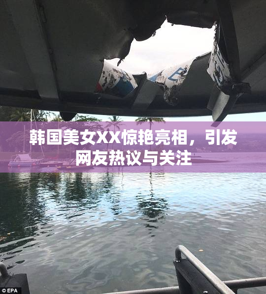 韩国美女XX惊艳亮相，引发网友热议与关注