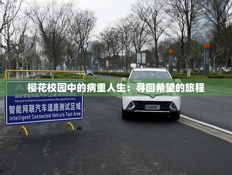 樱花校园中的病重人生：寻回希望的旅程