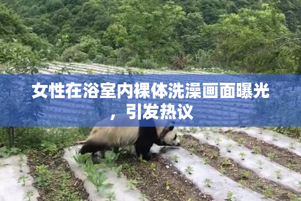 女性在浴室内裸体洗澡画面曝光，引发热议