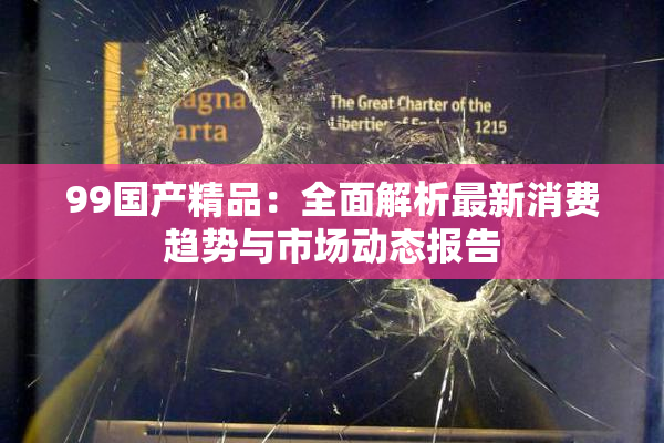 99国产精品：全面解析最新消费趋势与市场动态报告
