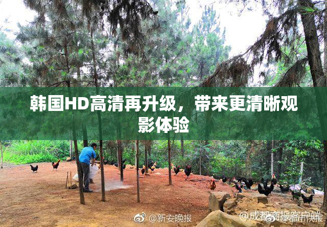 韩国HD高清再升级，带来更清晰观影体验