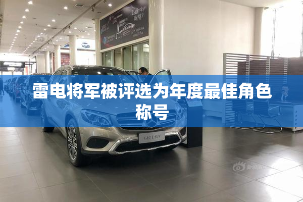 雷电将军被评选为年度最佳角色称号