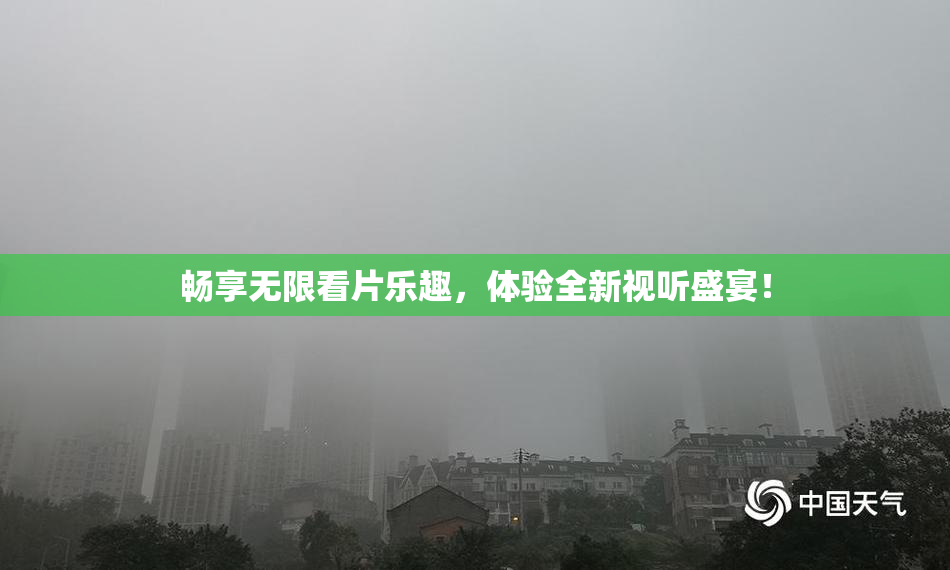 畅享无限看片乐趣，体验全新视听盛宴！