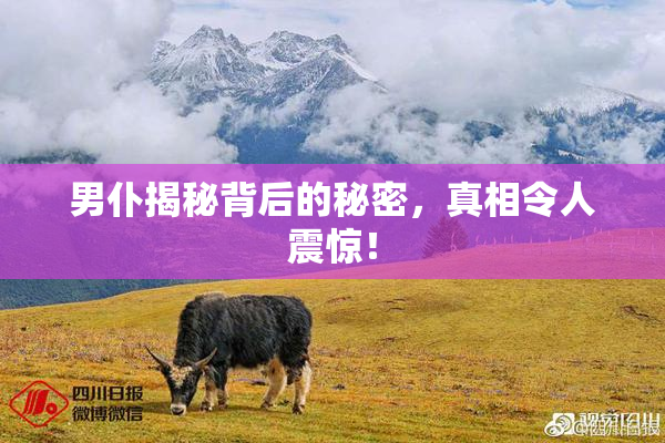 男仆揭秘背后的秘密，真相令人震惊！