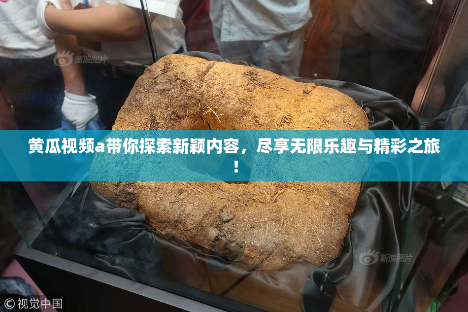 黄瓜视频a带你探索新颖内容，尽享无限乐趣与精彩之旅！