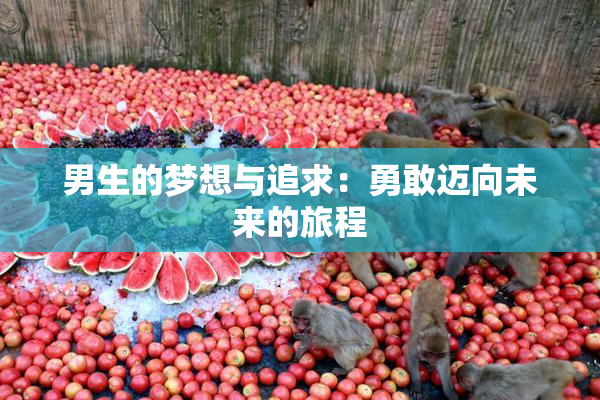 男生的梦想与追求：勇敢迈向未来的旅程