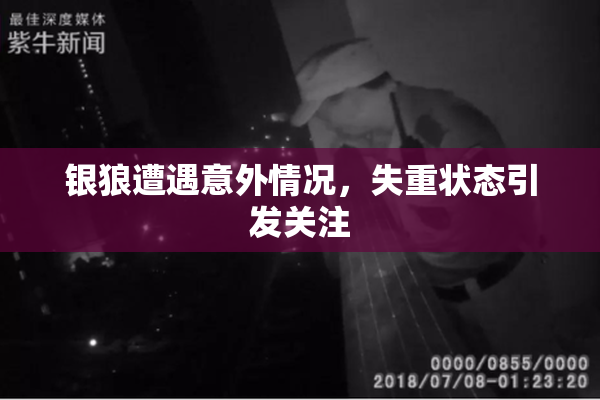 银狼遭遇意外情况，失重状态引发关注