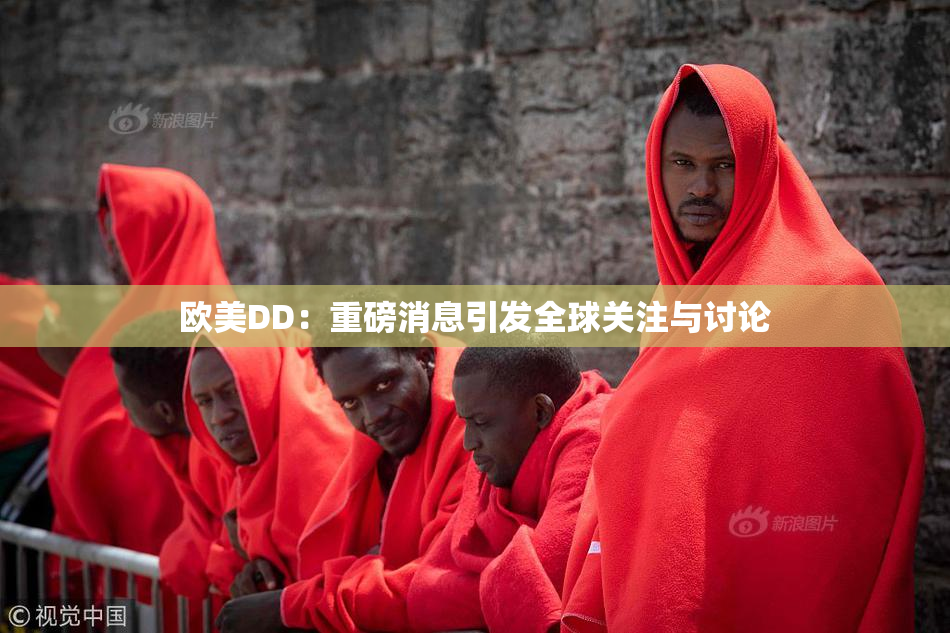 欧美DD：重磅消息引发全球关注与讨论