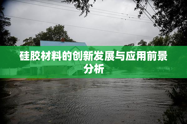 硅胶材料的创新发展与应用前景分析