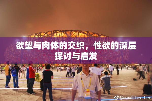 欲望与肉体的交织，性欲的深层探讨与启发