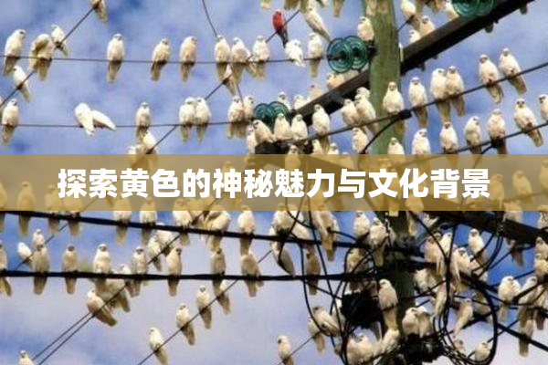 探索黄色的神秘魅力与文化背景