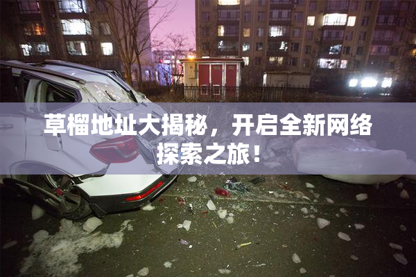 草榴地址大揭秘，开启全新网络探索之旅！