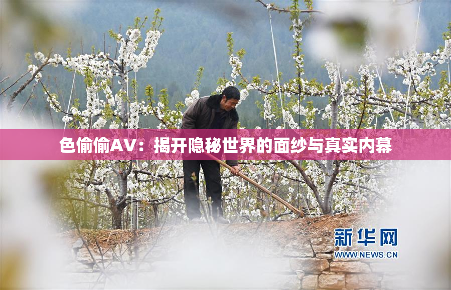 色偷偷AV：揭开隐秘世界的面纱与真实内幕