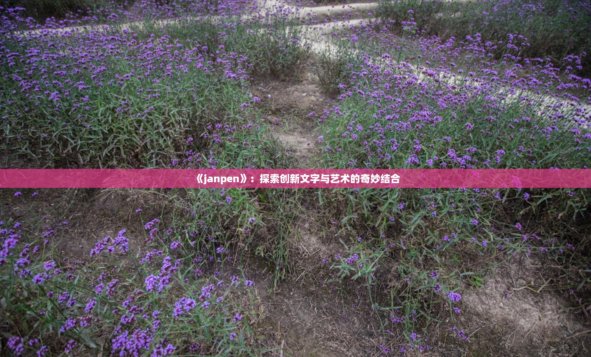 《janpen》：探索创新文字与艺术的奇妙结合
