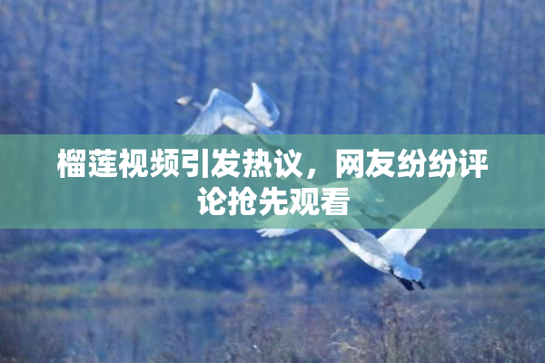 榴莲视频引发热议，网友纷纷评论抢先观看