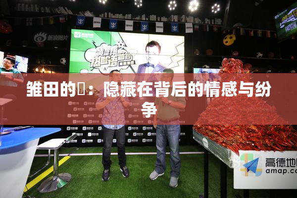 雏田的婬：隐藏在背后的情感与纷争