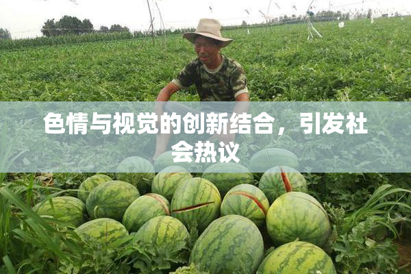 色情与视觉的创新结合，引发社会热议