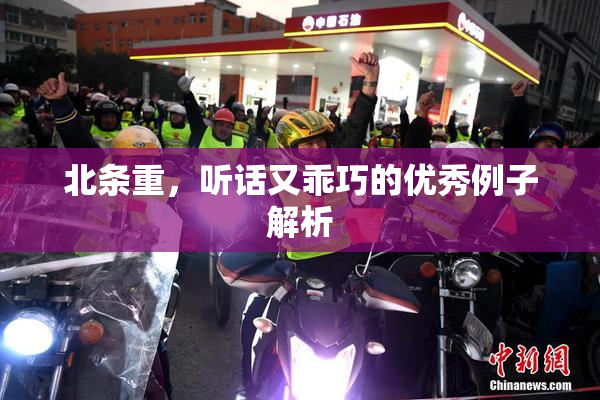 北条重，听话又乖巧的优秀例子解析