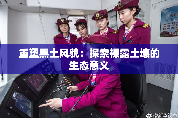 重塑黑土风貌：探索裸露土壤的生态意义