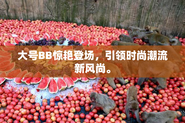 大号BB惊艳登场，引领时尚潮流新风尚。