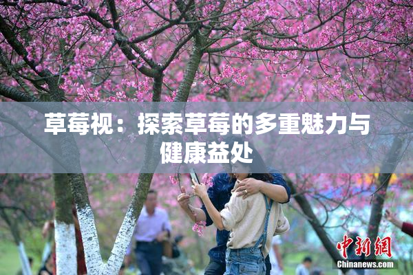 草莓视：探索草莓的多重魅力与健康益处