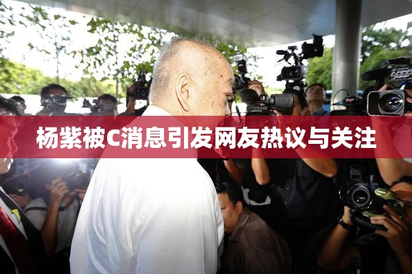 杨紫被C消息引发网友热议与关注