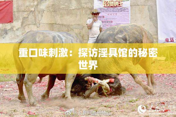 重口味刺激：探访淫具馆的秘密世界