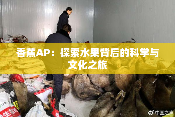 香蕉AP：探索水果背后的科学与文化之旅