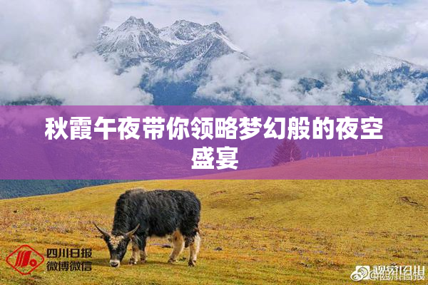 秋霞午夜带你领略梦幻般的夜空盛宴