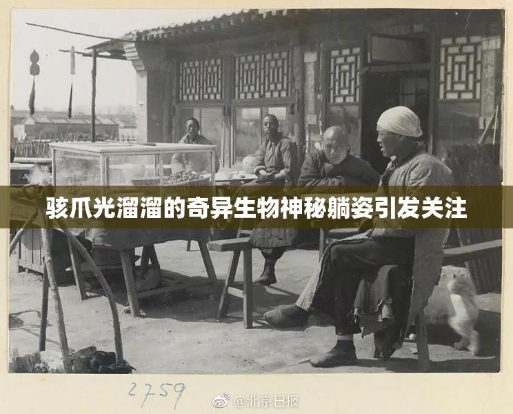 骇爪光溜溜的奇异生物神秘躺姿引发关注