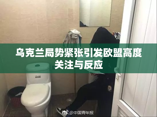乌克兰局势紧张引发欧盟高度关注与反应