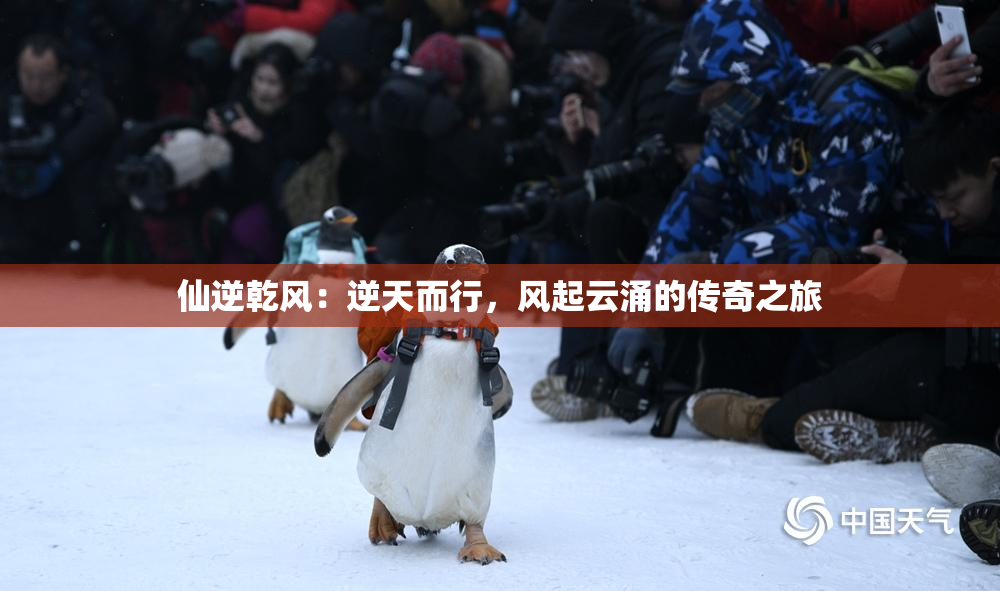 仙逆乾风：逆天而行，风起云涌的传奇之旅
