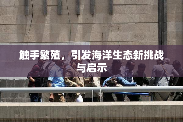 触手繁殖，引发海洋生态新挑战与启示