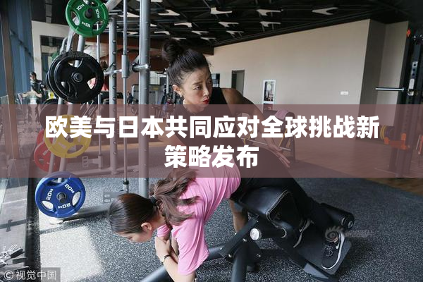 欧美与日本共同应对全球挑战新策略发布