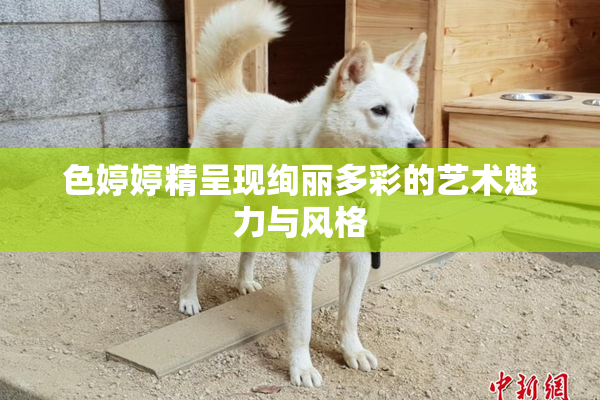 色婷婷精呈现绚丽多彩的艺术魅力与风格