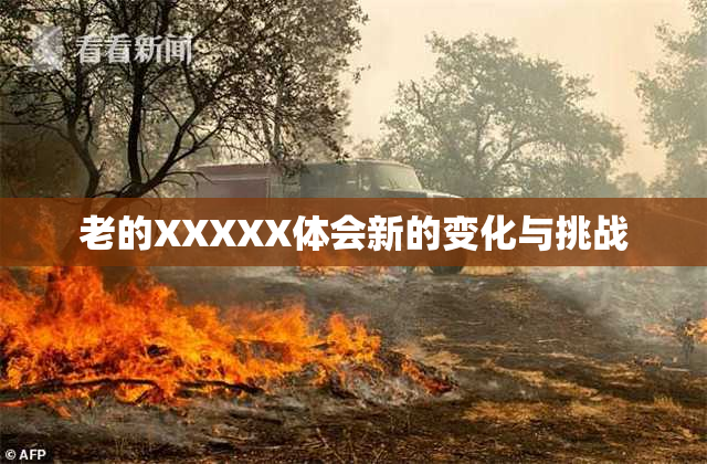 老的XXXXX体会新的变化与挑战