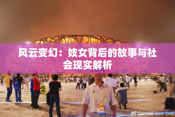 风云变幻：妓女背后的故事与社会现实解析