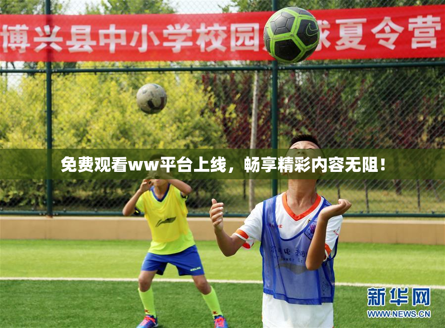 免费观看ww平台上线，畅享精彩内容无阻！
