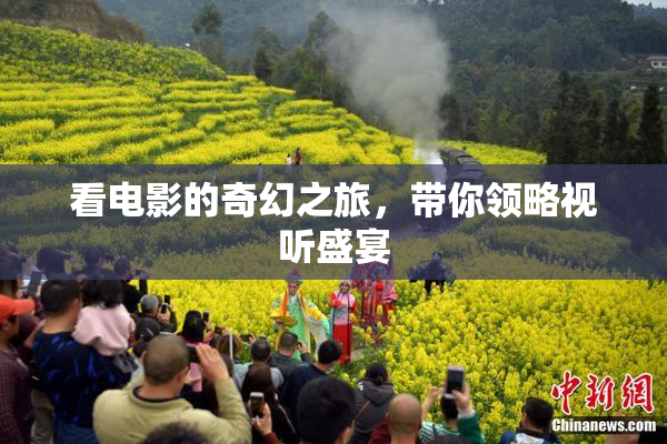 看电影的奇幻之旅，带你领略视听盛宴