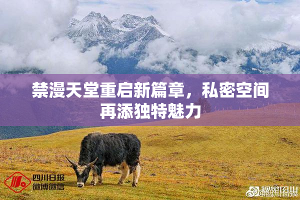 禁漫天堂重启新篇章，私密空间再添独特魅力