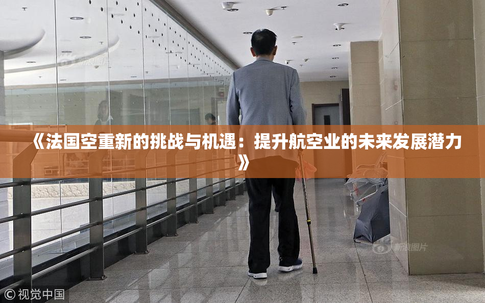 《法国空重新的挑战与机遇：提升航空业的未来发展潜力》