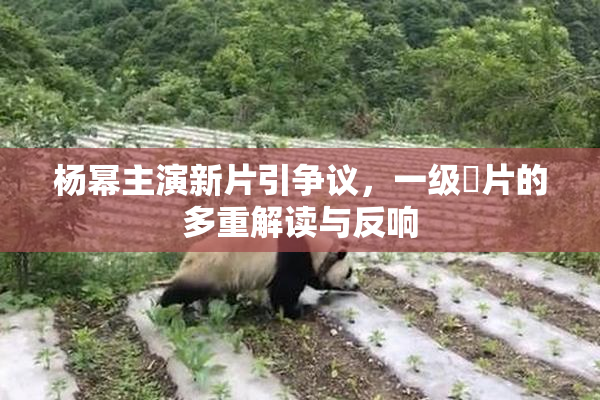 杨幂主演新片引争议，一级婬片的多重解读与反响