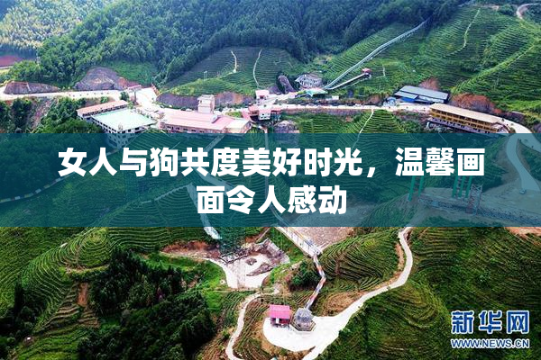 女人与狗共度美好时光，温馨画面令人感动