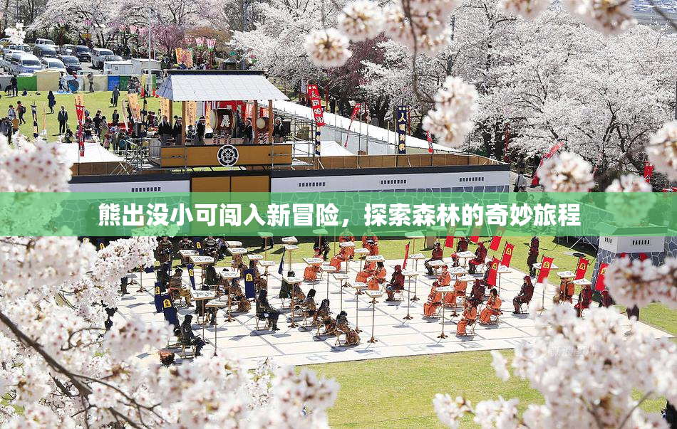 熊出没小可闯入新冒险，探索森林的奇妙旅程