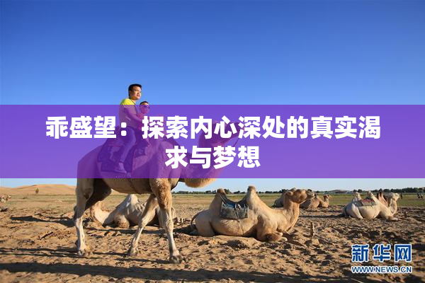 乖盛望：探索内心深处的真实渴求与梦想