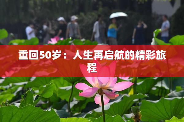 重回50岁：人生再启航的精彩旅程