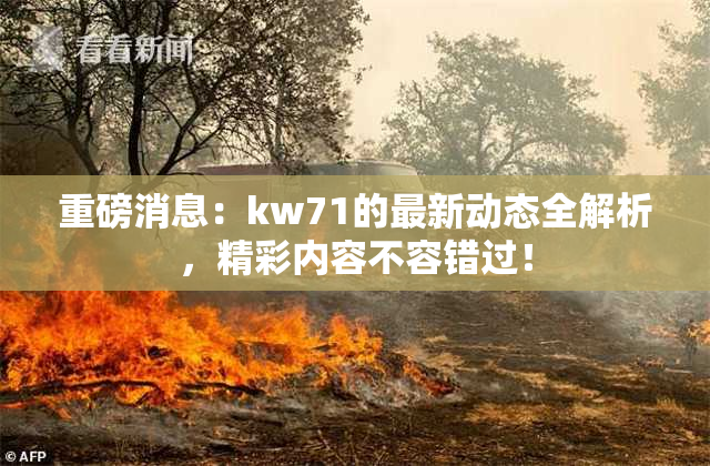 重磅消息：kw71的最新动态全解析，精彩内容不容错过！